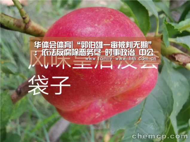 华体会体育|“郭伯雄一审被判无期”:依法反腐除恶务尽_时事政治_中公教育网(图1) 华体会体育
