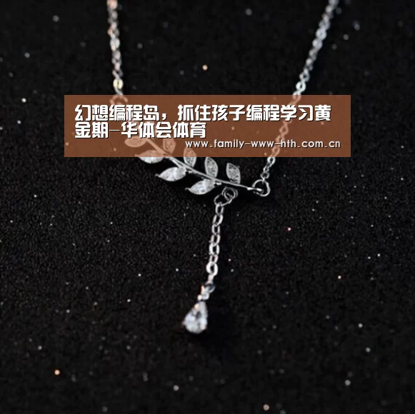 幻想编程岛,抓住孩子编程学习黄金期-华体会体育(图3) 华体会体育