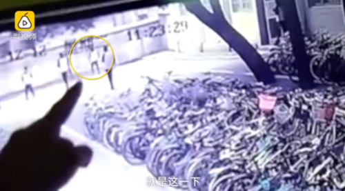 幻想编程岛,抓住孩子编程学习黄金期-华体会体育(图2) 华体会体育