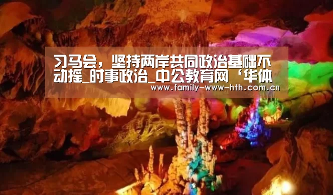 习马会,坚持两岸共同政治基础不动摇_时事政治_中公教育网‘华体会体育’(图1) 华体会体育