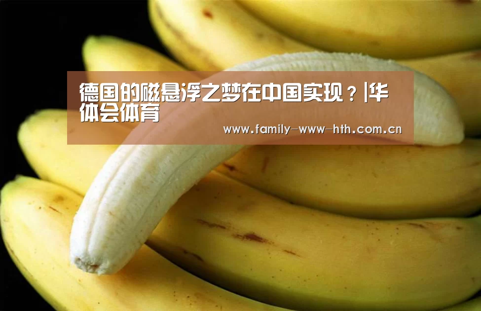 德国的磁悬浮之梦在中国实现?|华体会体育(图3) 华体会体育