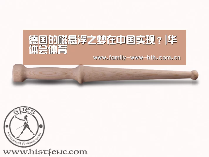 德国的磁悬浮之梦在中国实现?|华体会体育(图1) 华体会体育