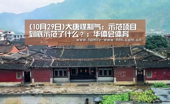 (10月29日)大唐煤制气:示范项目到底示范了什么?:华体会体育(图1) 华体会体育