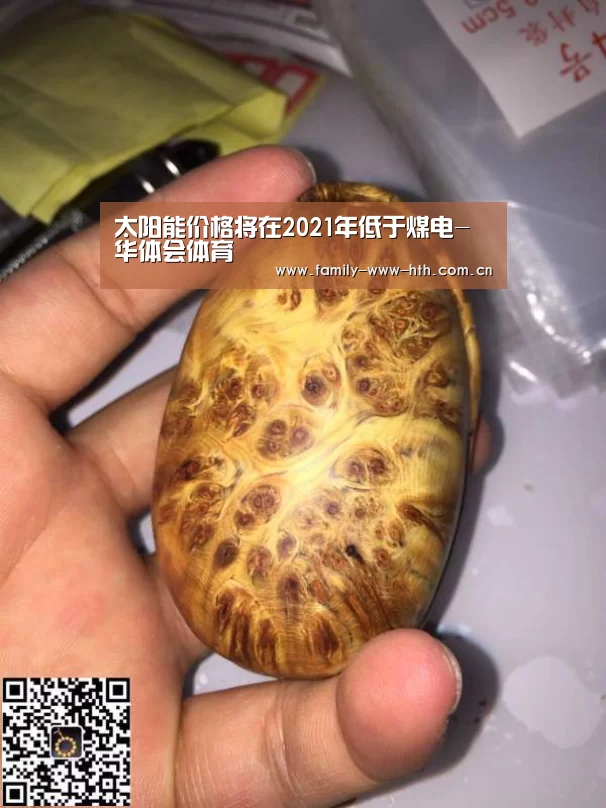 太阳能价格将在2021年低于煤电-华体会体育(图1) 华体会体育