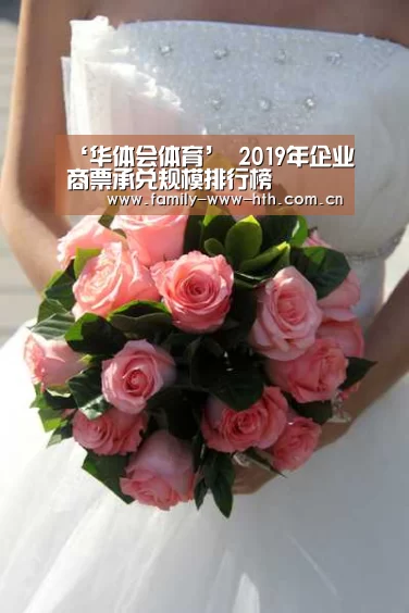 ‘华体会体育’
2019年企业商票承兑规模排行榜