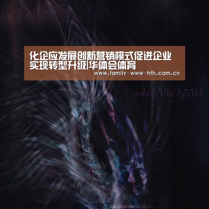 化企应发展创新营销模式促进企业实现转型升级|华体会体育(图2) 华体会体育
