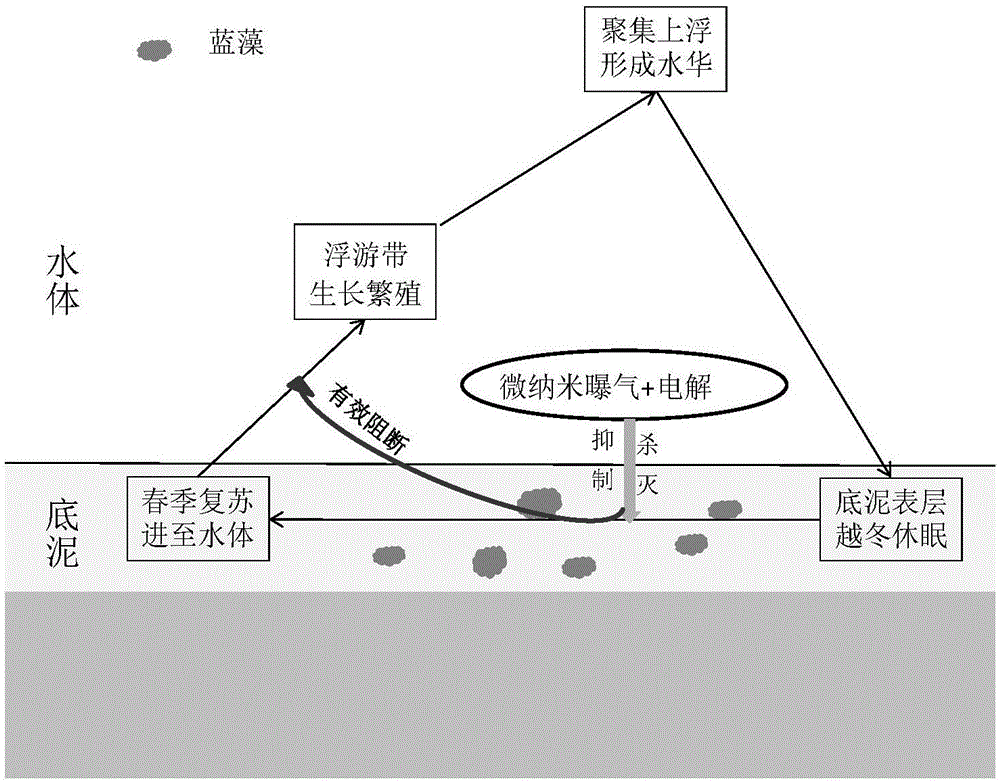 【华体会体育】
最新!2019年度中国医院排行榜公布!(图4) 华体会体育