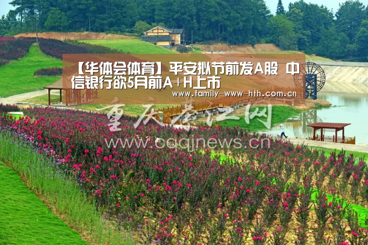 【华体会体育】平安拟节前发A股 中信银行欲5月前A+H上市