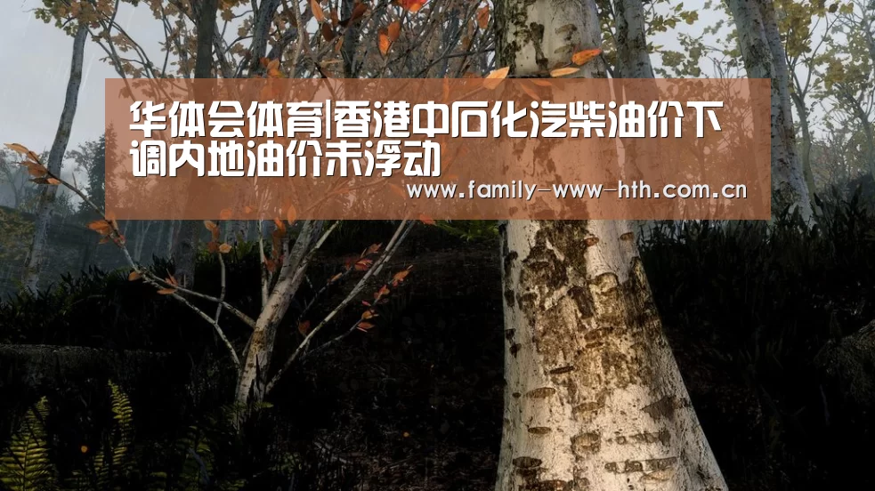 华体会体育|香港中石化汽柴油价下调内地油价未浮动(图1) 华体会体育