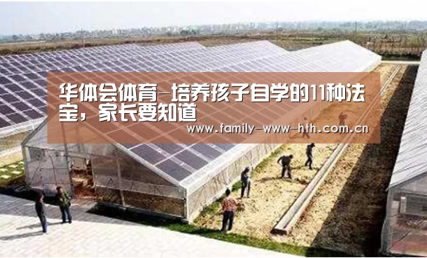 华体会体育-培养孩子自学的11种法宝,家长要知道(图2) 华体会体育