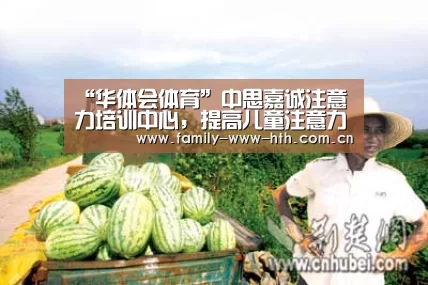 “华体会体育”中思嘉诚注意力培训中心,提高儿童注意力的教育机构(图4) 华体会体育