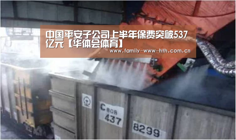中国平安子公司上半年保费突破537亿元【华体会体育】(图4) 华体会体育