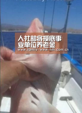 人社部将摸底事业单位养老金 检查基金征缴情况“华体会体育”(图3) 华体会体育