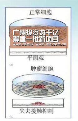 广州投资数千亿筹建一批新项目-华体会体育(图1) 华体会体育