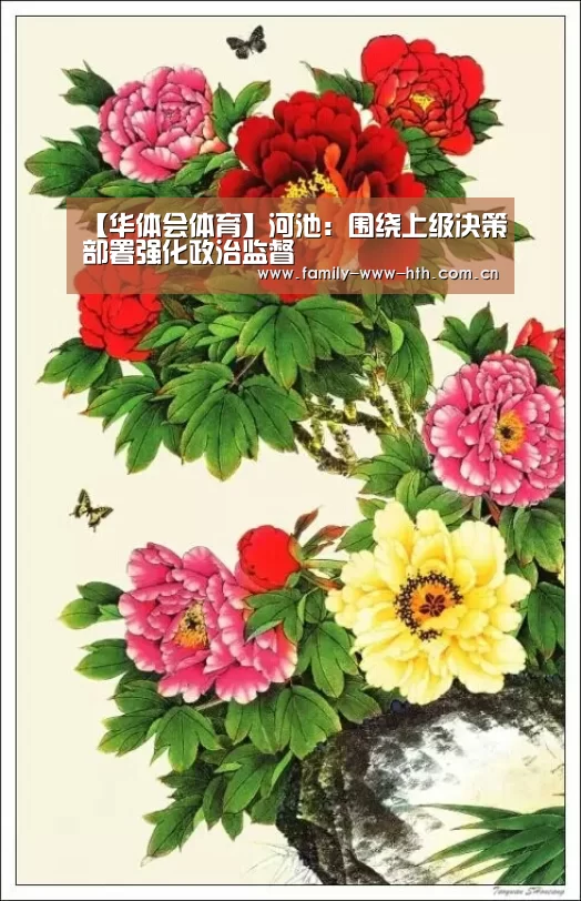 【华体会体育】河池:围绕上级决策部署强化政治监督(图3) 华体会体育